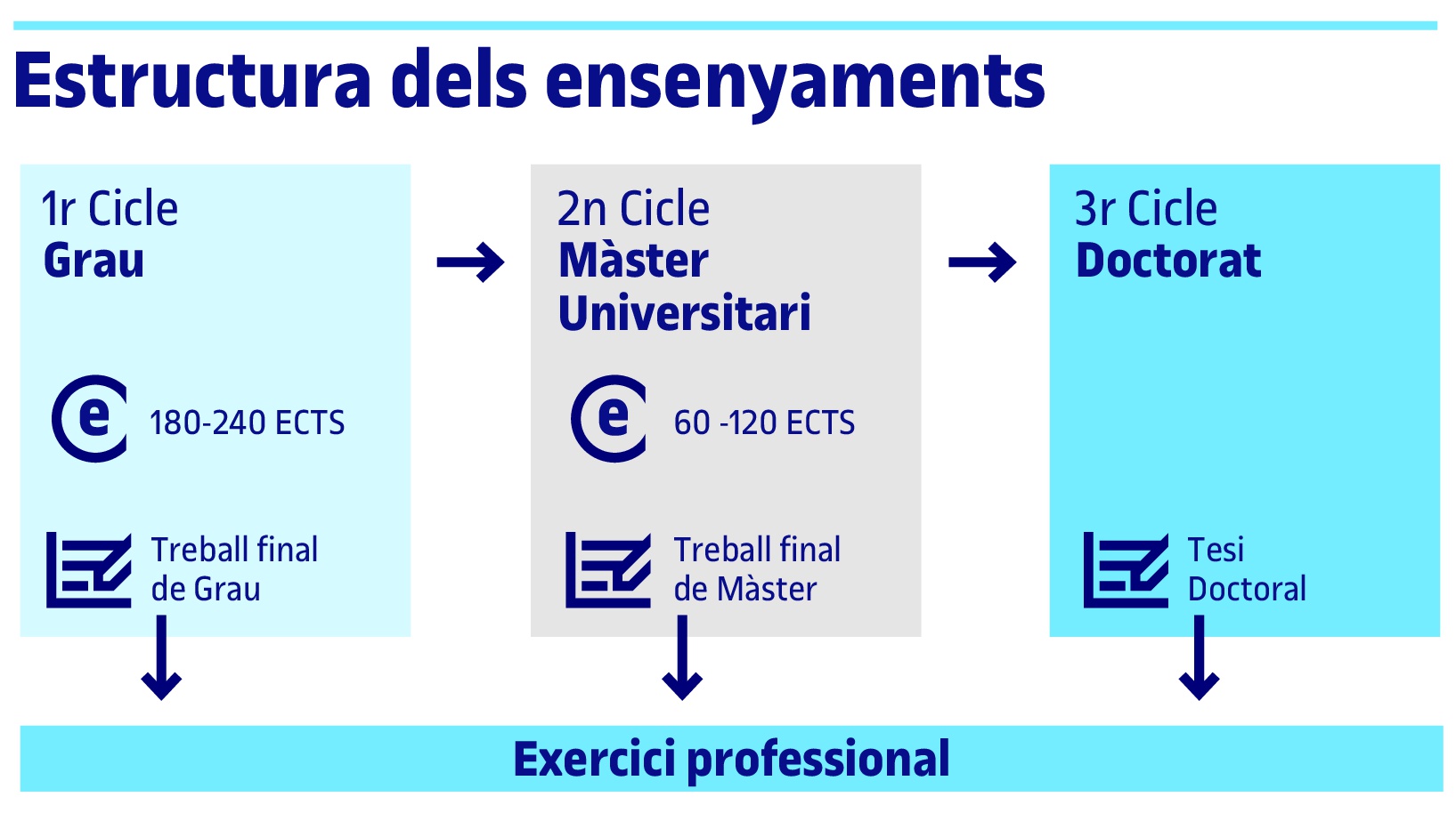 Estructura dels Ensenyaments